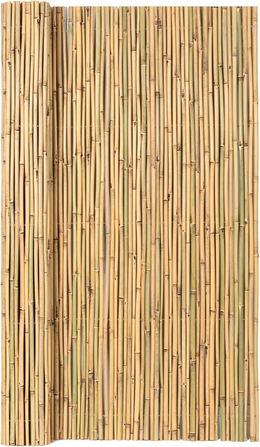 Natural Rolled Bamboo Fence, 0.7 in D x 6 feet High x 8 feet Long O29784