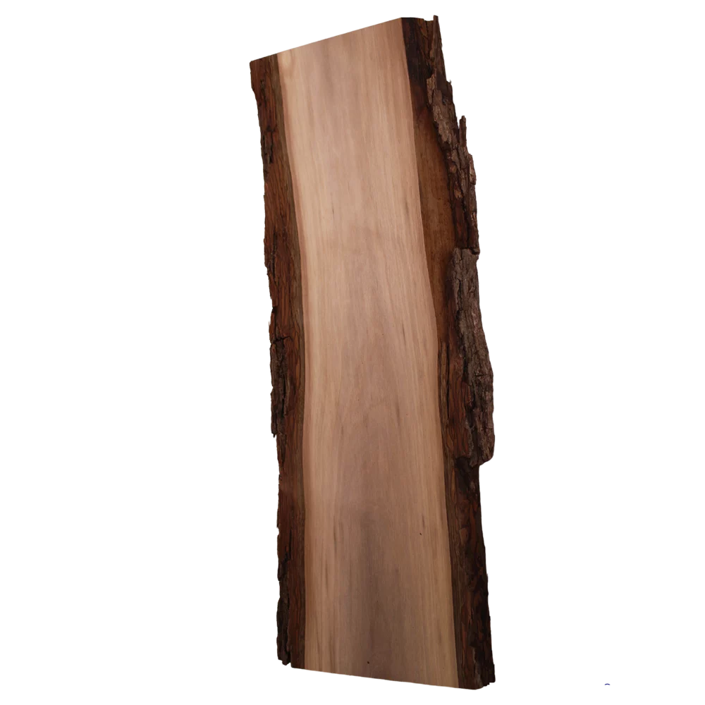 Live Edge Walnut Slab B832