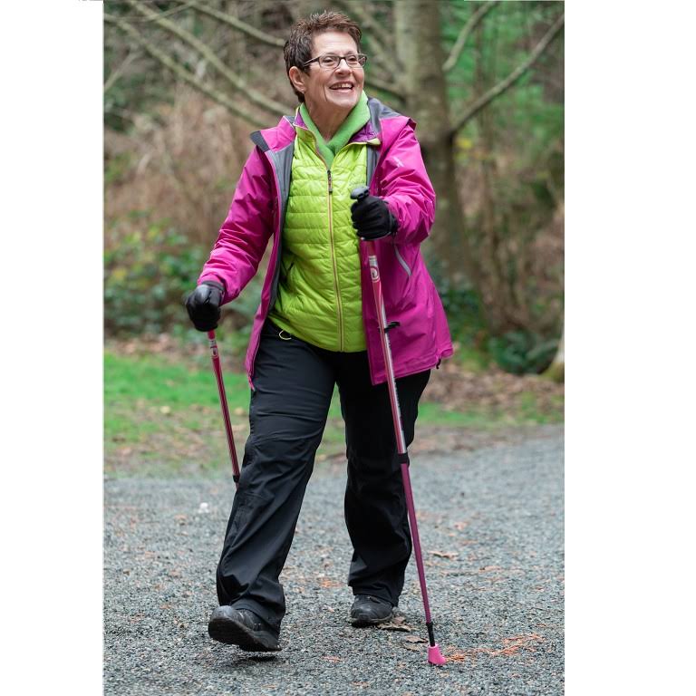 Walking/Hiking/Trekking Poles L6933