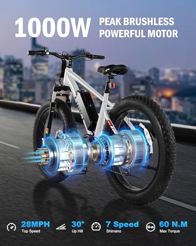 26x4.0 Fat Tire Electric Mountain Bike with 48V 13AH Battery X3123