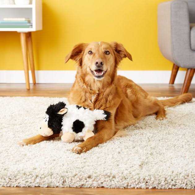 Barnyard Cruncheez Cow Dog Toy Z8983