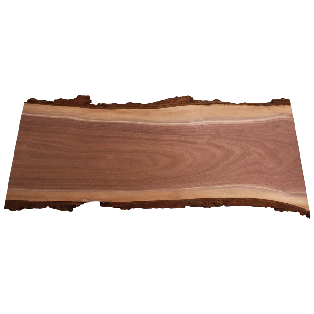 Live Edge Walnut Slab B832