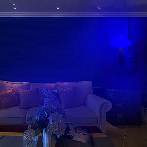 5Pack Sensor LED Night Light Plug in Mushroom Light Y175