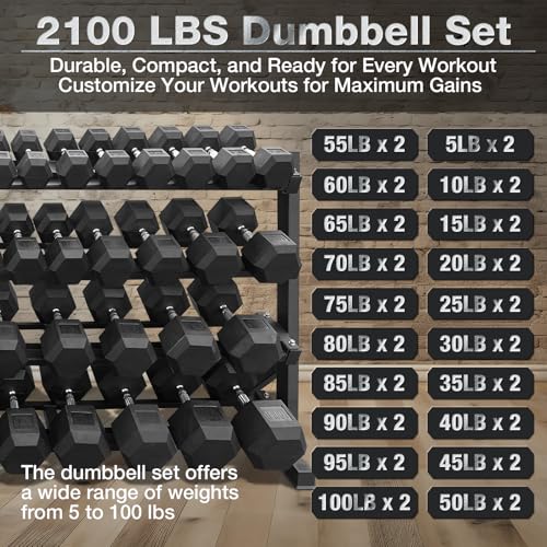 550 lbs Dumbbells Weight Set O3477