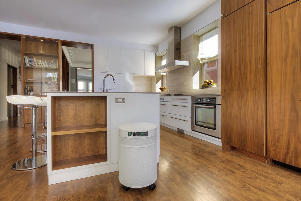 Air Purifier H895353