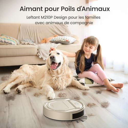 Robot Vacuum with 12000Pa Suction, Anti-Tangle Brushes, Self-Emptying V746