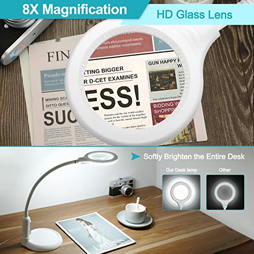 5X Magnifying Glass with Light and Clamp, Flexible Gooseneck LED Desk Lamp A198897