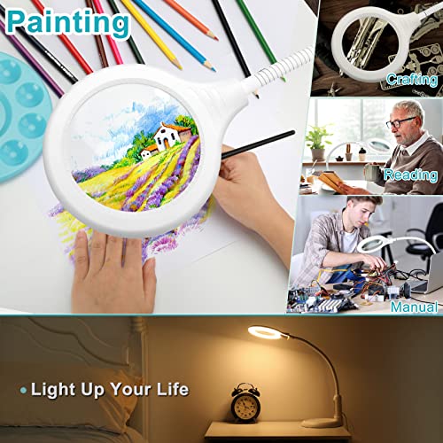 5X Magnifying Glass with Light and Clamp, Flexible Gooseneck LED Desk Lamp A198897