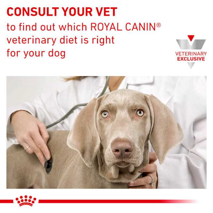 Veterinary Diet Renal Support T Wet Dog Food K499