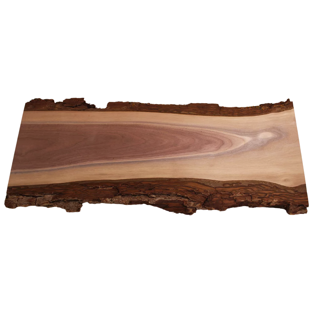 Live Edge Walnut Slab B832