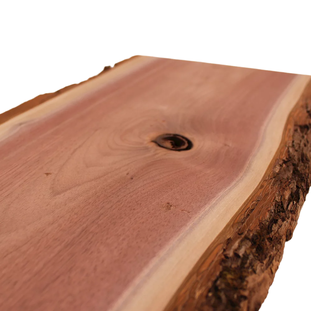 Live Edge Walnut Slab B832