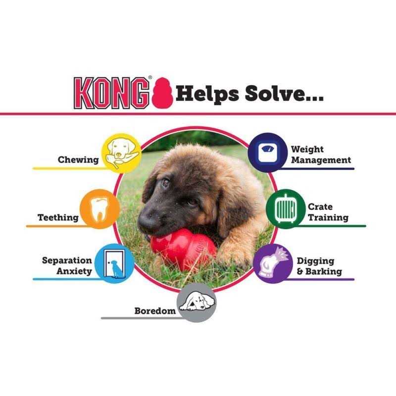 Senior Dog Toy A841571