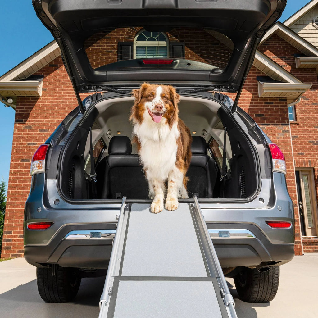 Telescoping Pet Ramp U3416
