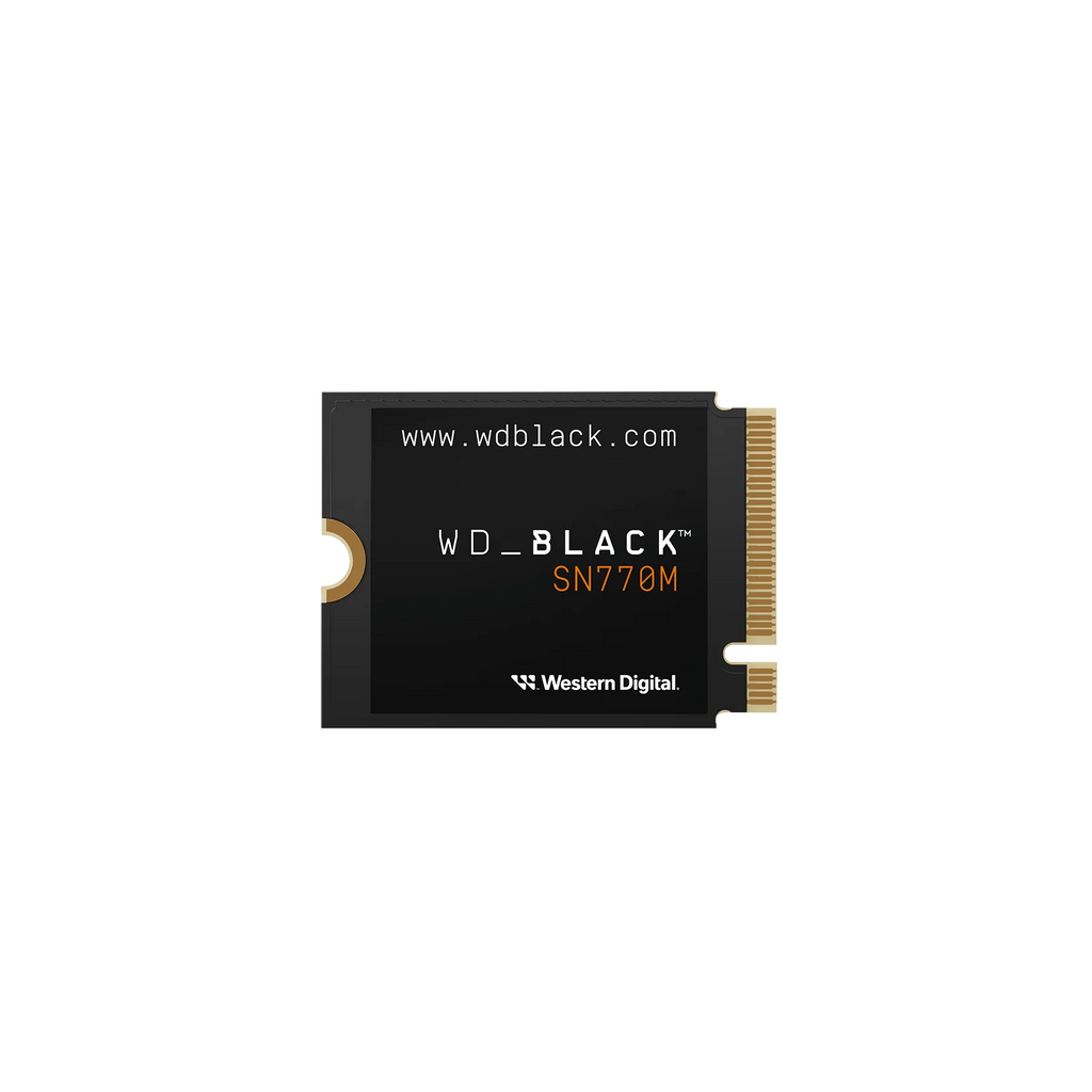500GB M.2 2230 NVMe SSD F5810