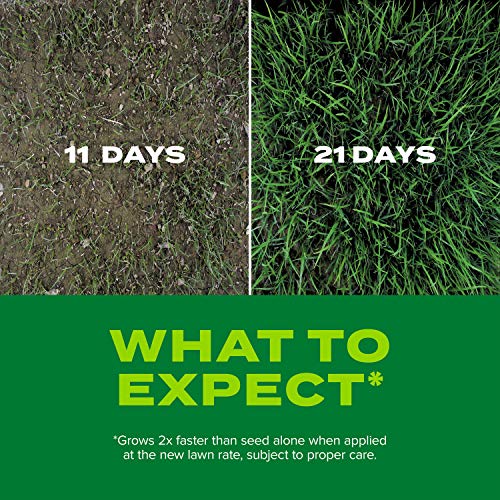 5.6 lbs Tall Fescue Grass Seed and Fertilizer Mix A4075