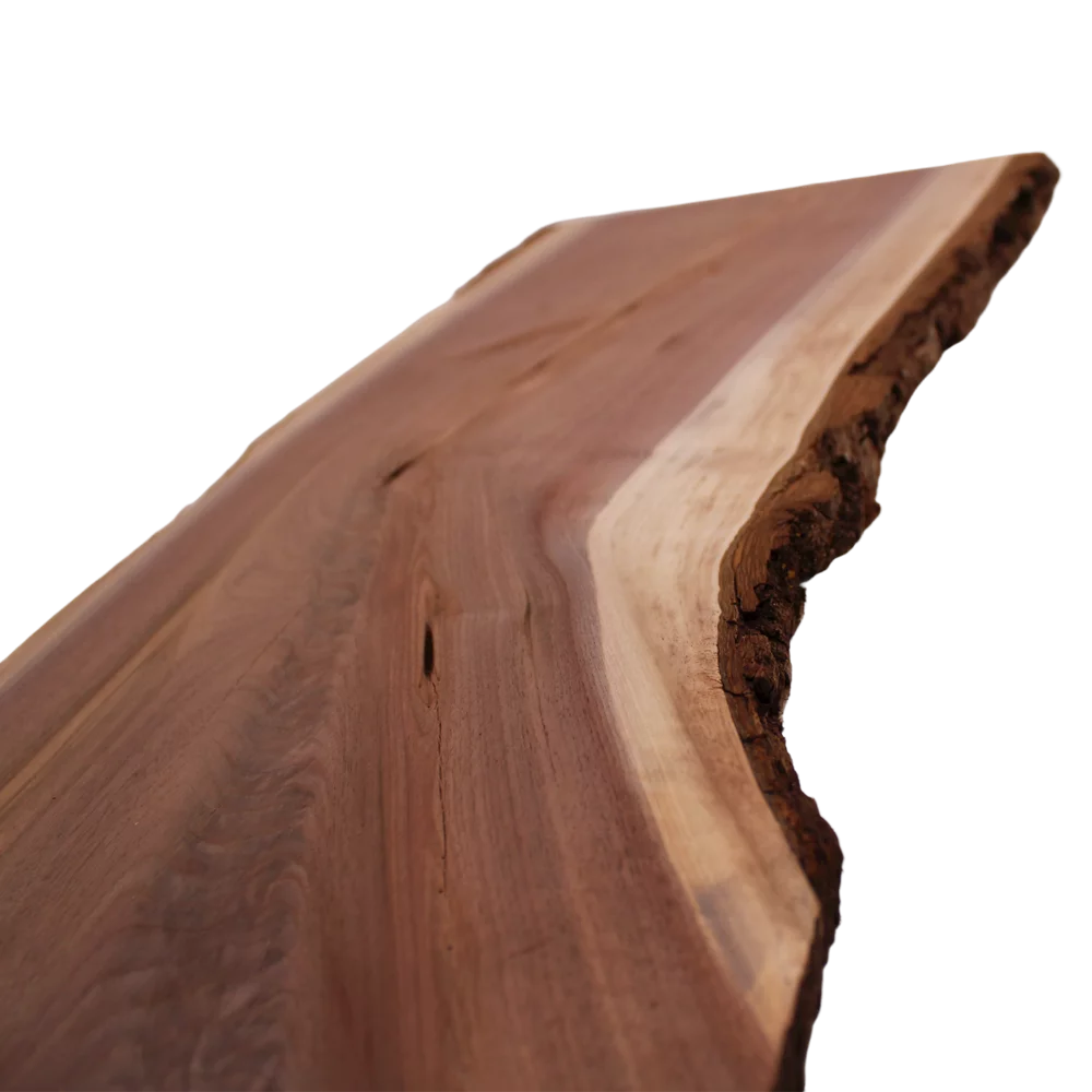 Live Edge Walnut Slab B832