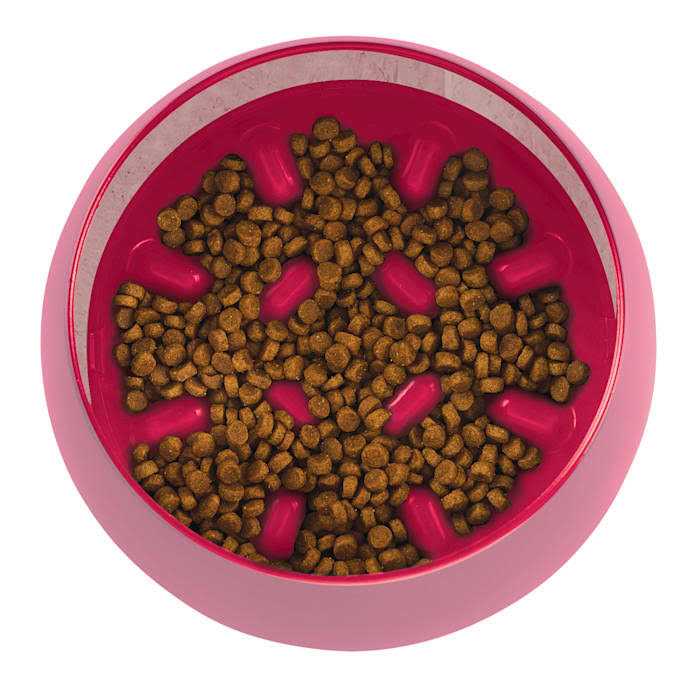 Burgundy Rocking Interactive Slow Feeder Dog Bowl L644839