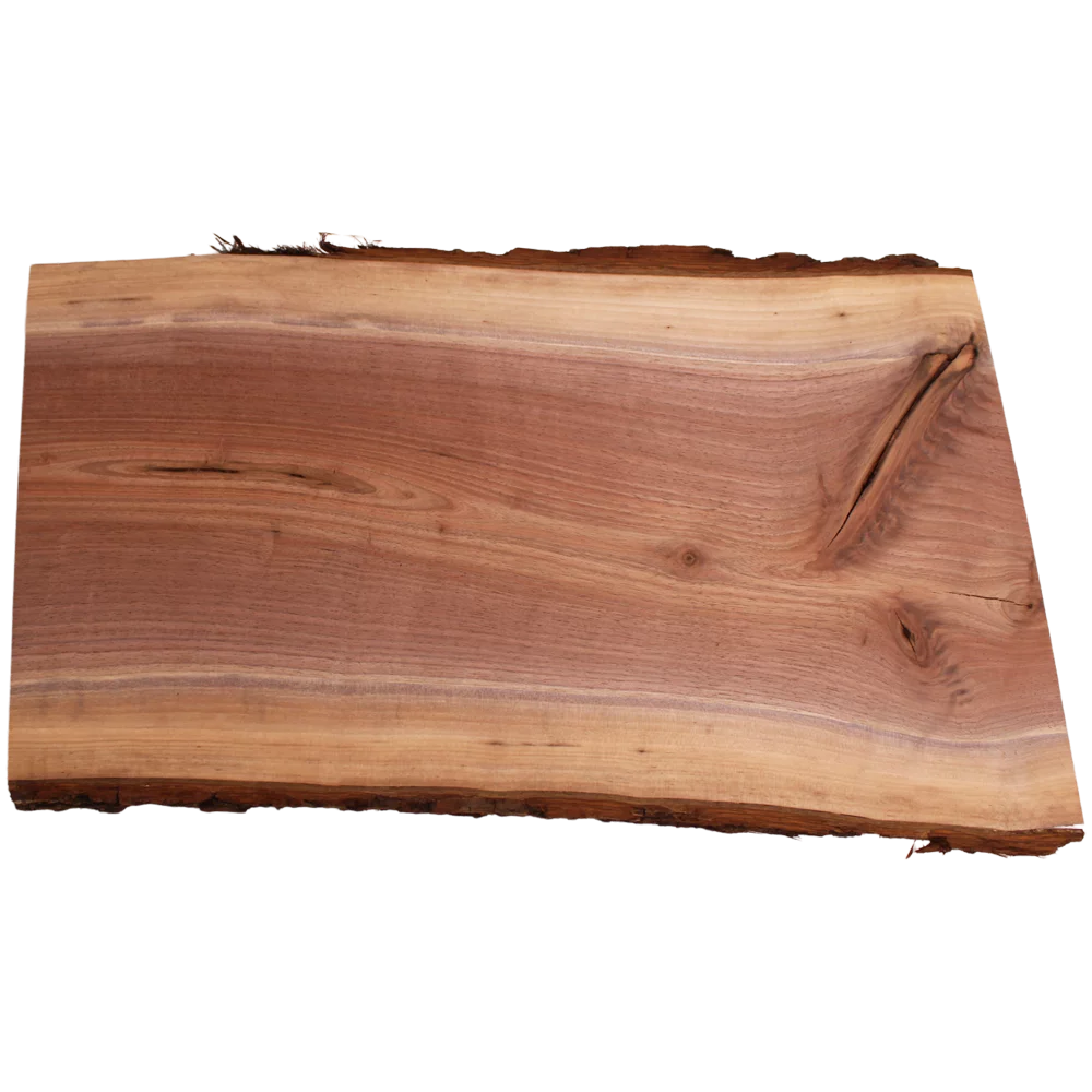 Live Edge Walnut Slab B832