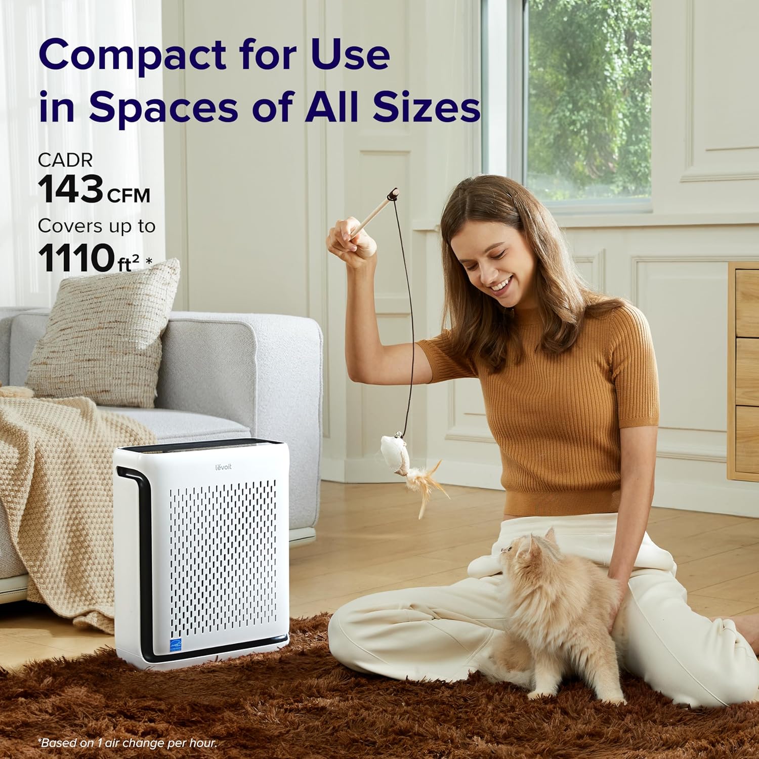 Air Purifier and Replacement Filter C91602