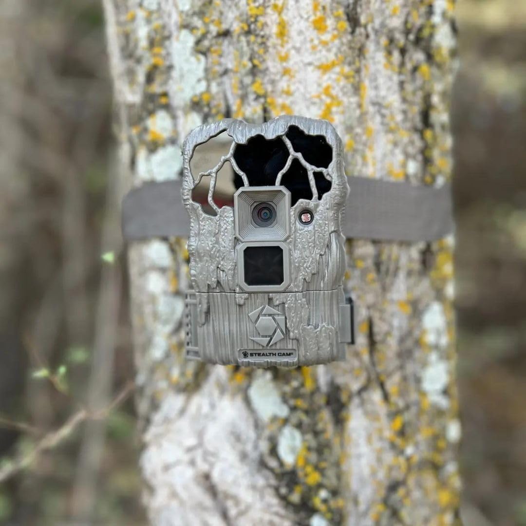 24MP Trail Camera - 2 Pack U47946