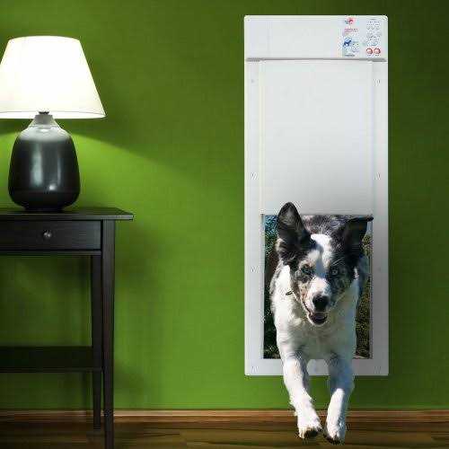Motorized Pet Door D67783