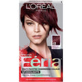Rich Mahogany Hair Color S30341