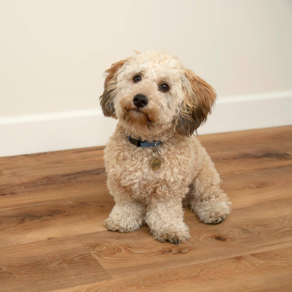 Gold Waterproof Interlocking Luxury Vinyl Flooring (26.62-Sq ft) V909544