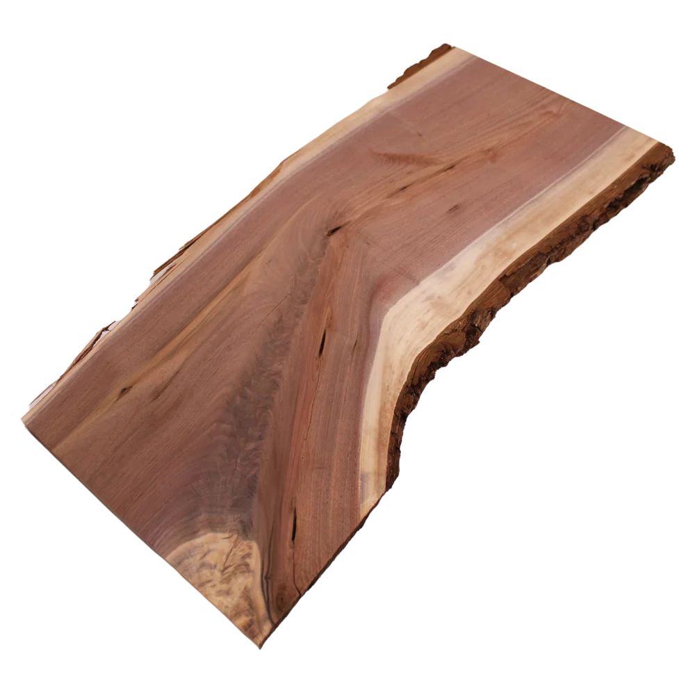 Live Edge Walnut Slab B832