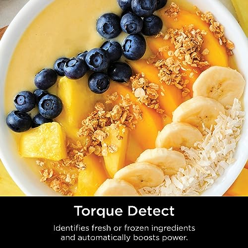 Ninja Detect Power Blender Pro H8396