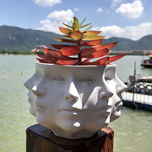 Small Face Planter Vase Indoor Plant Pot W556