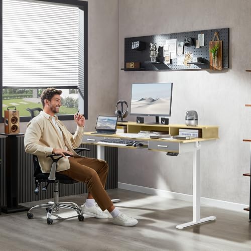 48x24 Inches Electric Standing Desk with 2 Drawers, Height Adjustable, Oak W48203
