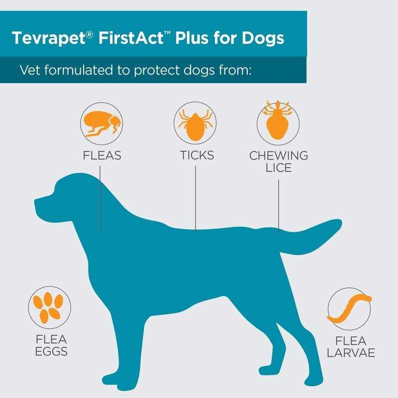 Flea and Tick Prevention Dogs N3220