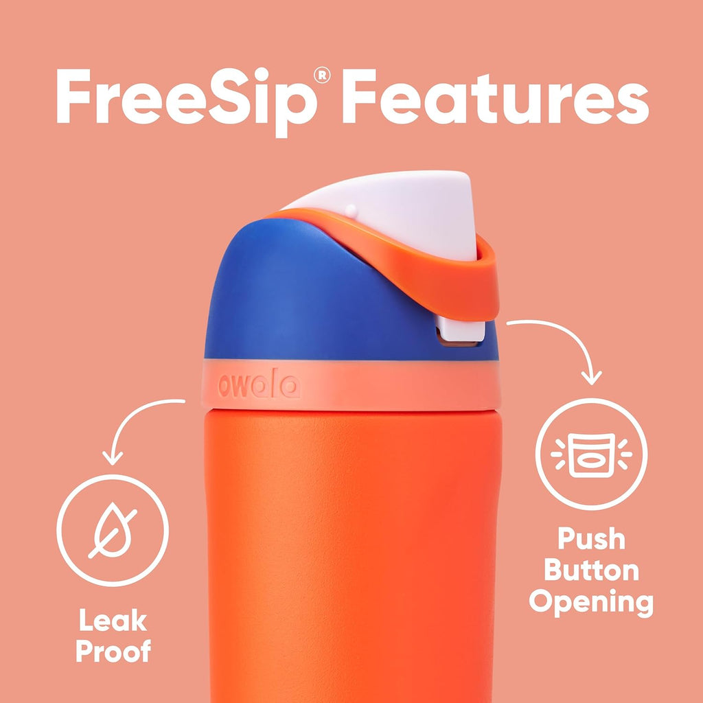 16 oz Insulated Stainless Steel Water Bottle with Straw and Push-Button Lid H69023
