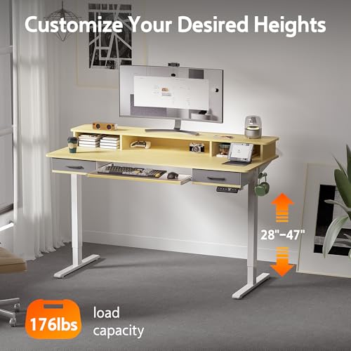 48x24 Inches Electric Standing Desk with 2 Drawers, Height Adjustable, Oak W48203