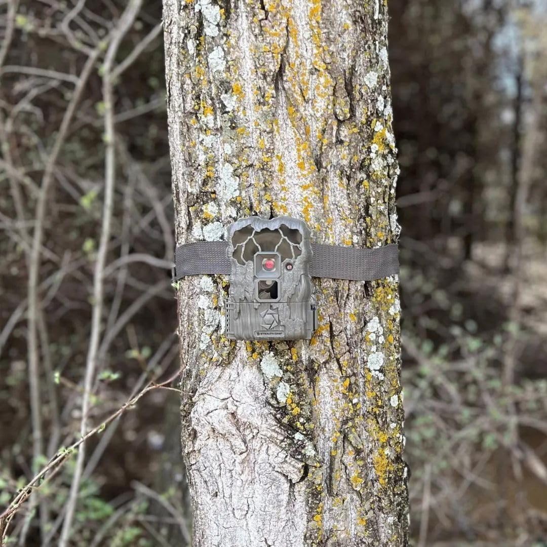 24MP Trail Camera - 2 Pack U47946