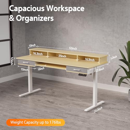 48x24 Inches Electric Standing Desk with 2 Drawers, Height Adjustable, Oak W48203
