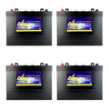 4 Pack 48V 12 Volt Golf Cart Batteries F174