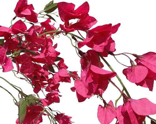 Fuchsia Artificial Silk Hanging Flowers Pack of 2 B35030