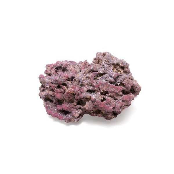 Life Rock G2665