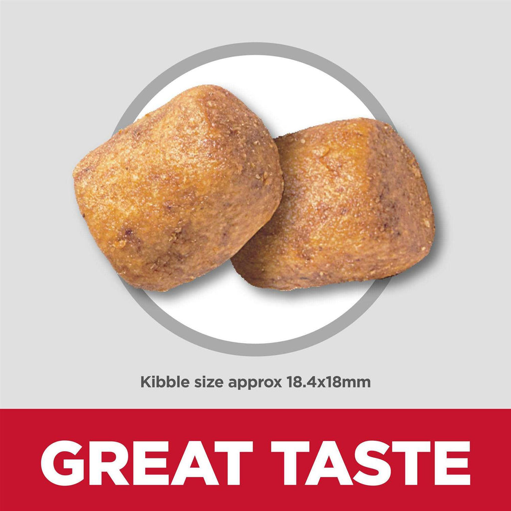 Adult Oral Care Small & Mini Chicken Recipe Dry Dog Food T21010