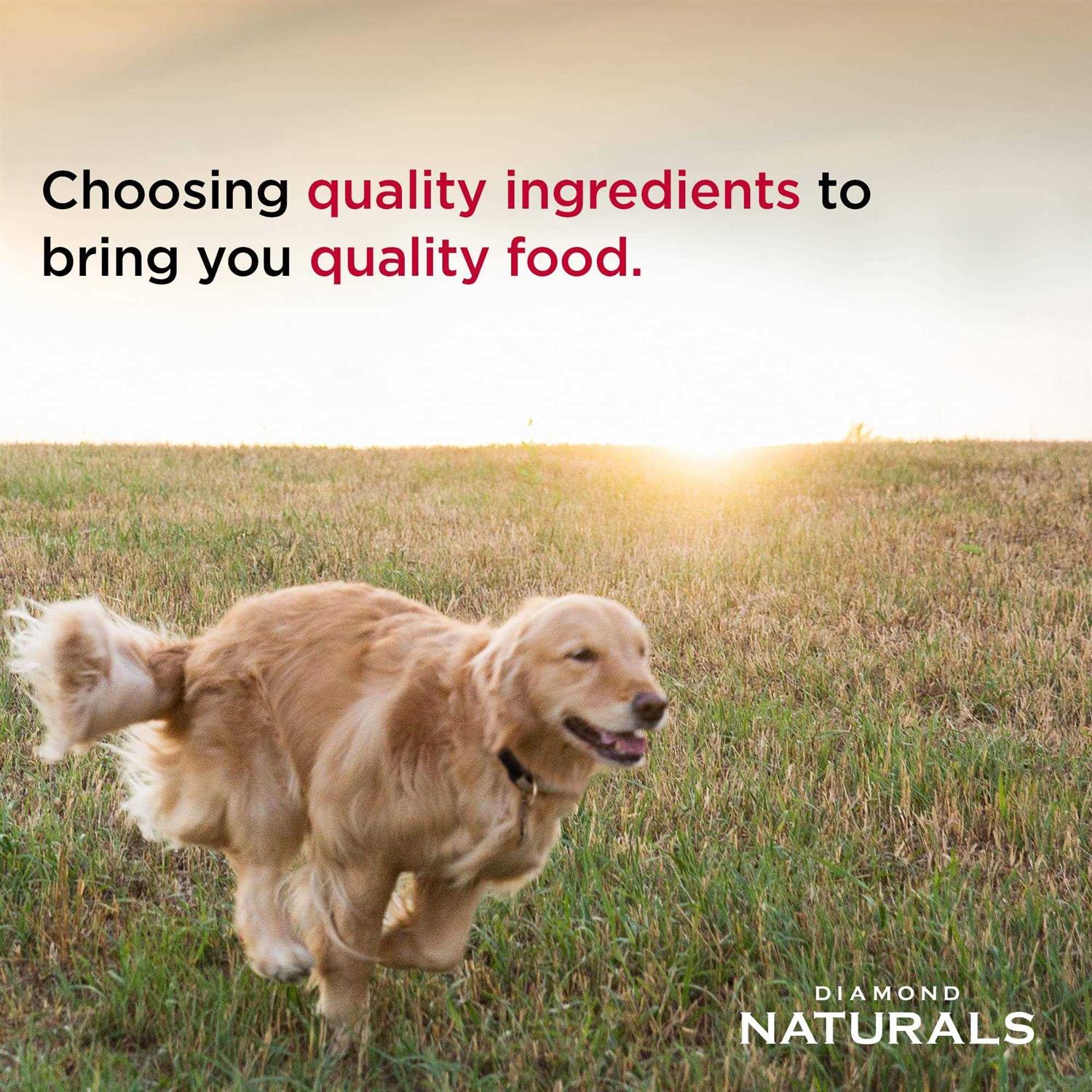 Diamond Naturals Extreme Athlete Dry Dog Food D329766