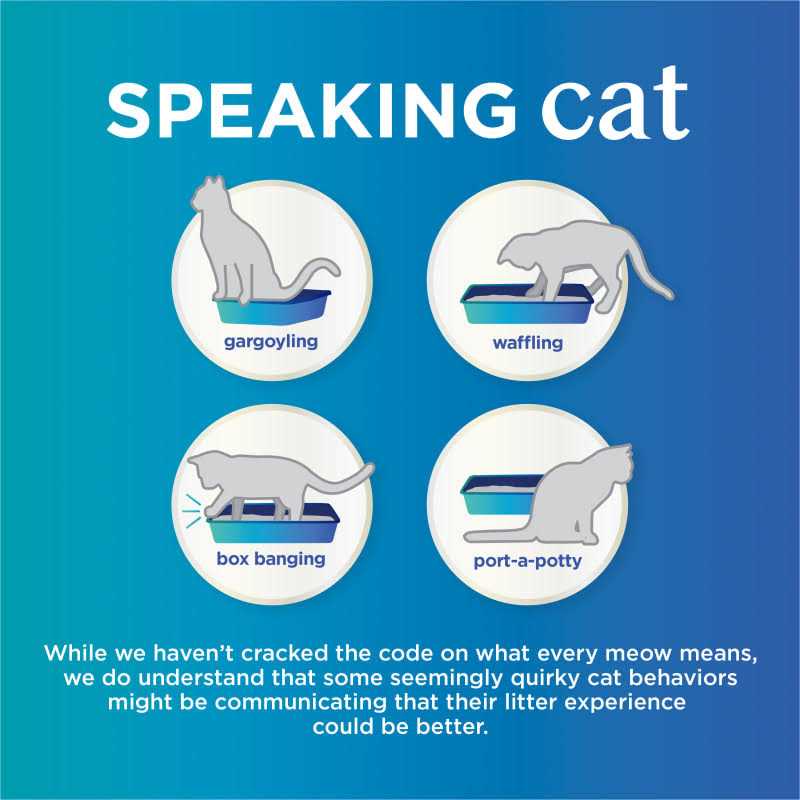 Unscented Clumping Cat Litter A366791