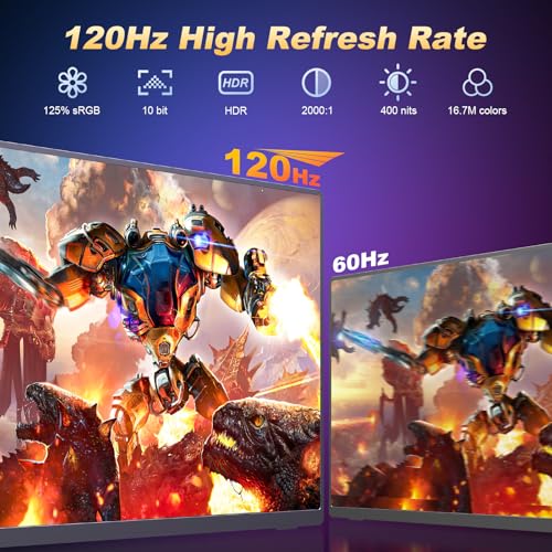 18.5 Inch 120Hz 1080P FHD IPS Portable Monitor Y4817
