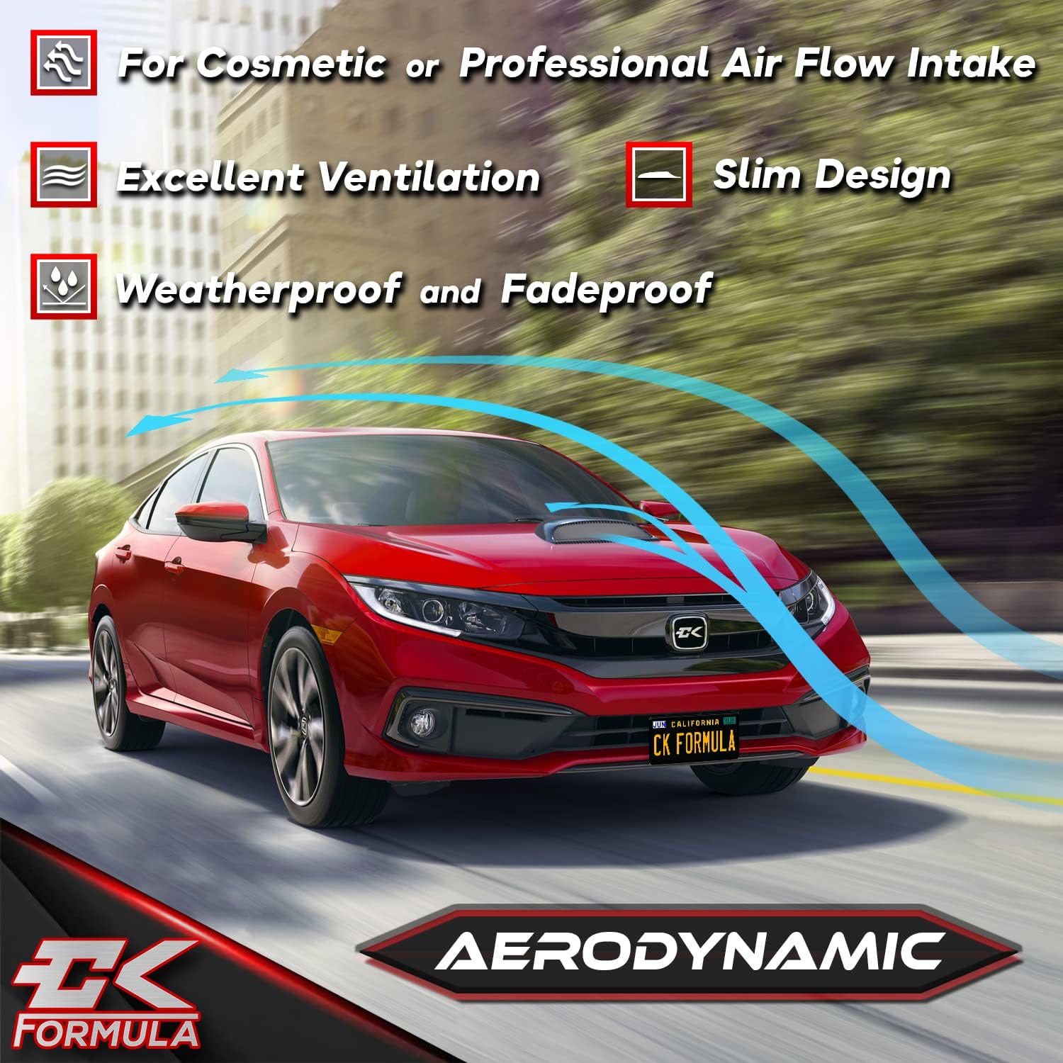 Carbon Fiber Hood Scoop R4421