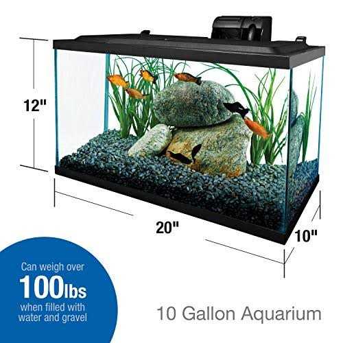 10 Gallons Glass Aquarium R79136