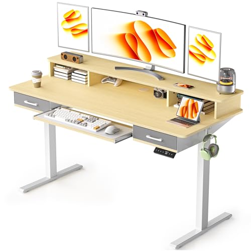 48x24 Inches Electric Standing Desk with 2 Drawers, Height Adjustable, Oak W48203