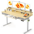 48x24 Inches Electric Standing Desk with 2 Drawers, Height Adjustable, Oak W48203