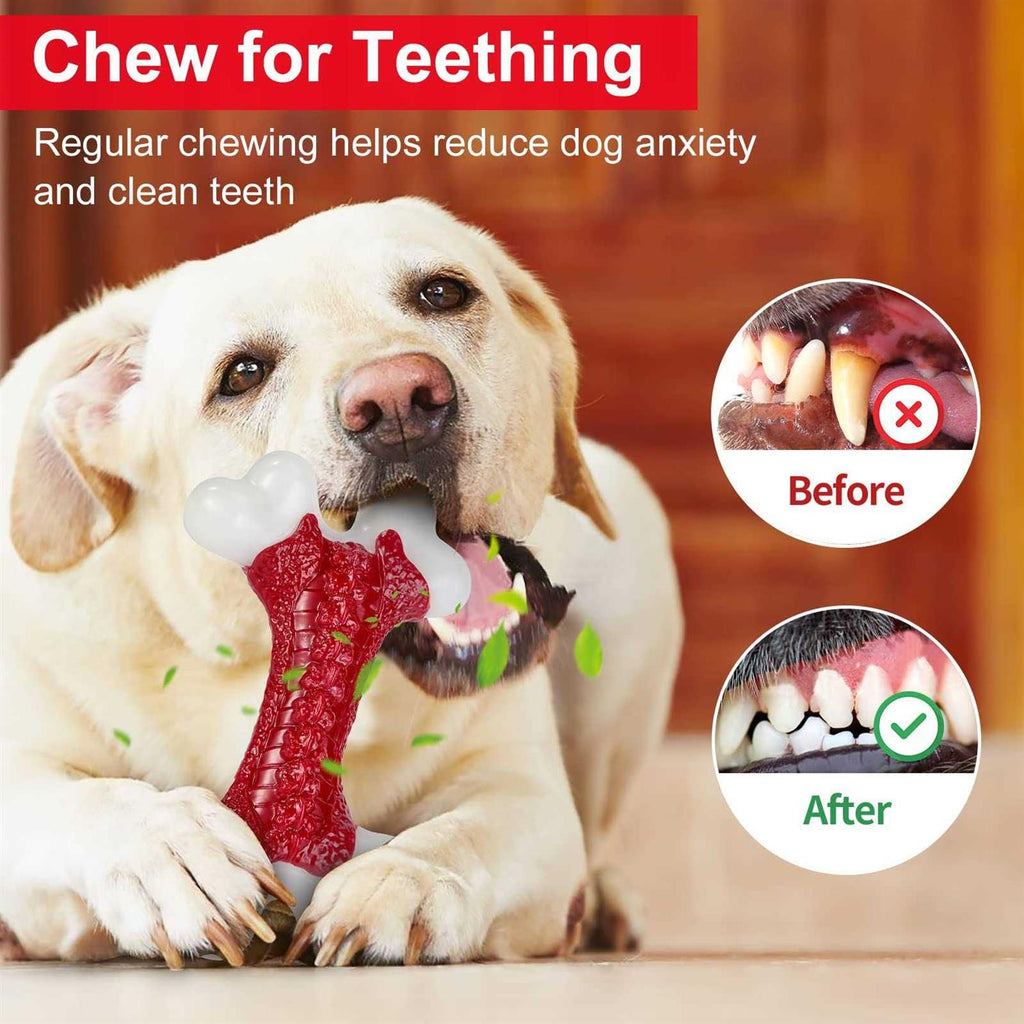 Tough Dog Toys for Aggressive Chewers Large Breed N1652