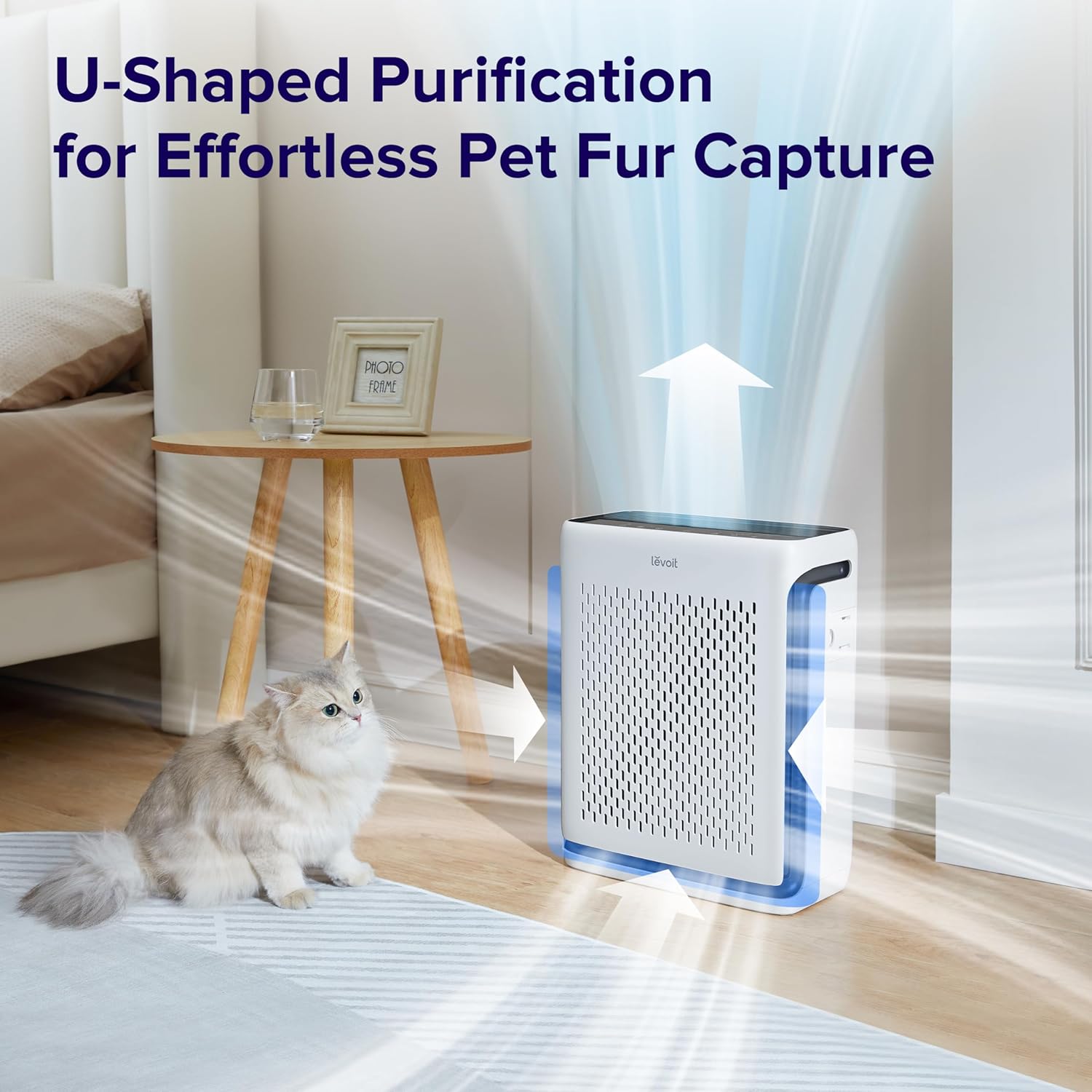 Air Purifier and Replacement Filter C91602