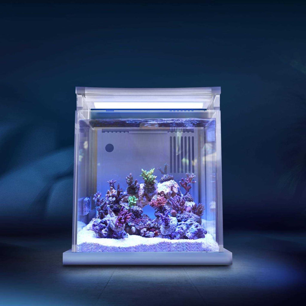 Mini Acrylic Desktop Aquarium with Back Filter System and LED Light O884778